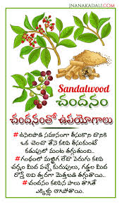 On maxgyan you will get health telugu meaning, translation, definition and synonyms of health with related words. Uses And Benefits With Sandal Wood In Telugu Best Ayurveda Treatment With Sandalwood For Beauty Jnana Kadali Com Telugu Quotes English Quotes Hindi Quotes Tamil Quotes Dharmasandehalu
