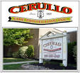 Cerullo fire protection