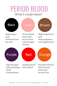 Pin On Women S Health
