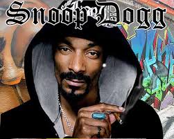 If you want to download snoop dogg high quality wallpapers for your desktop, please download this wallpapers above and. Snoop Dogg Wallpaper 1280x1024 64985