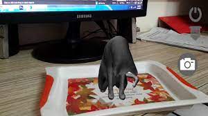 Din cate stiu 1000 metri patrati are un hectar. Cat Ar For Android Apk Download