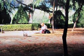 * you produce enough new work on a ongoing basis to impress galleries and other professionals with your level of commitment and dedication. How To Become A Professional Artist Flavours Holidays