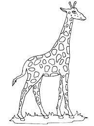 This compilation of over 200 free, printable, summer coloring pages will keep your kids happy and out of trouble during the heat of summer. Realistic Giraffe Coloring Pages Below Is A Collection Of Giraffe Coloring Page Which You Can Download For Free Giraffe Coloring Pages Giraffe Colors Giraffe