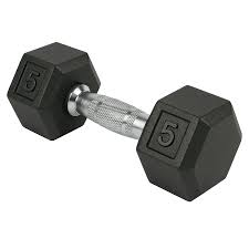 Rubber Hex Dumbbells (pair) for Home Gym – X-Rival Premium Weights –  X-Rival Fitness