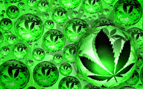 Check spelling or type a new query. Sac Zara Rouge Croco Fumando Celular Fondo De Pantalla Marihuanas