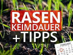 Wie säe ich richtig aus? Rasen Keimdauer Fehler Wie Keimung Beschleunigen Schnell