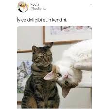 Feyza Acar Adli Kullanicinin Refikakomedi Panosundaki Pin
