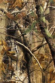 5.0 out of 5 stars 2. Realtree Camo 640x960 Wallpaper Teahub Io