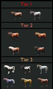 Black Desert Online Horse Taming And Breeding Guide Dulfy