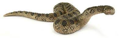 Schleich Green Anaconda 14778 Schleich Animals Wild Green Anaconda