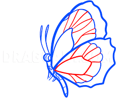 It's not too hard to understand why so many children and adults many internet tutorials for learning how to draw them, however, i found to be overly simple (as in wings with a few circles) or overly complex (complete. How To Draw A Butterfly On A Flower Butterfly And Flower Step By Step Drawing Guide By Dawn Dragoart Com
