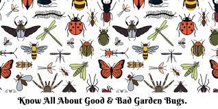 Several years ago, my just planted front lawn got completely destroyed by grubs. Know All About Good And Bad Garden Bugs