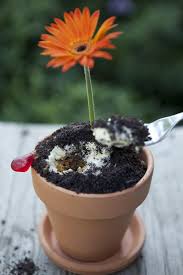 Eat Dirt With Flower Pot Cakes Flower Pot Cake Dirt Cake Flower Pots