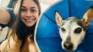 Fundraiser by Grace Larrea : Bandit's Carcinoma Surgery