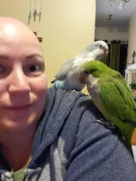 Fledgling birds begging for food