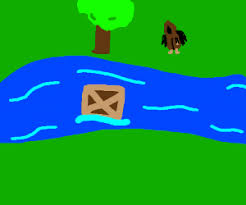 Image result for box floating in river