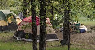 We did not find results for: Campgrounds Places To Stay Historic Deadwood Sd