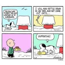 Image result for peanuts cartoons