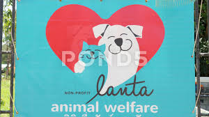 Lanta Animal Welfare Sign In Ko Lanta Thailand Stock Footage Ad Welfare Sign Lanta Animal Animal Welfare Animals Ko Lanta