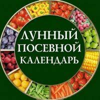 посадка цветов на рассаду в марте по лунному календарю Tablicy Posadki Rassady V 2020 Godu Lunnyj Kalendar Dlya Sadovoda Ogorodnika V 2020 G Posadka Vyrashivanie Arbuzov Posadka Ovoshej
