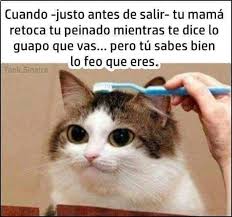 Sip Memes Chistes Chistesmalos Imagenesgraciosas Humor Www Megamemeces C Memes Divertidos Memes Graciosos Videos Divertidos