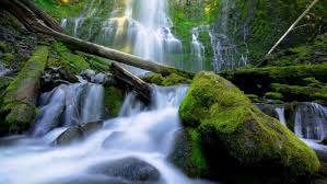 Deținem brandul, terenuri, expertiză în horeca și suntem în căutarea unuia sau mai multor investitori mari. Bigar Cascade Waterfall Transylvania Romania Wallpapers13 Com