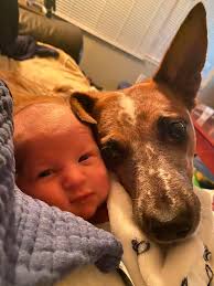 Will Holly Burns have a boy or girl Sim with Marcus Flex?