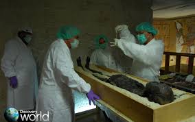 Povestea tragică a misteriosului faraon o puteţi afla urmărind această realizare de excepţie. Exclusiv Tutankhamon Regele Blestemat De Incest Stirileprotv Ro