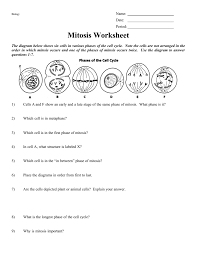 Ask questions about your assignment. Mitosis Worksheet