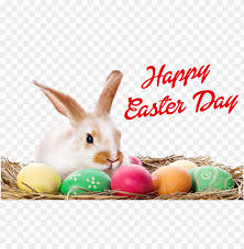 Pin amazing png images that you like. Happy Easter Bunny Png Happy Easter Egg Png Image With Transparent Background Toppng