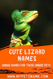 Cute Lizard Names Cute Lizard Lizard Names Cute Pet Names