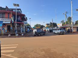 Image result for Melastomastrum segregatum