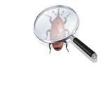 Pests are attracted to food premises since they are an ideal habitat in which to live and reproduce. Eppo Activities On Pra