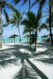 Diani Beach Kenya Africa Kenya Travel Beautiful Beaches Africa Travel