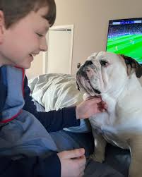 Winston: king of low energy paw taps