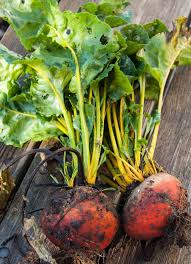 Gelbe Bete Rezept Aus Dem Garten Der Kindheit