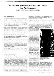 Image result for Trichoscypha lucens