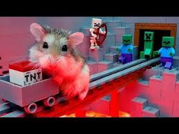 major hamster vs zombies lego minecraft treasure hunt youtube lego minecraft hamster treasure hunt