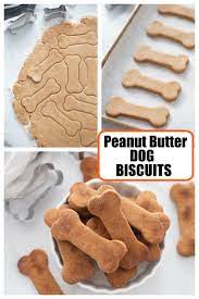 Pin On Distractibaking