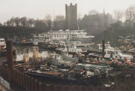 Image result for Globimetula anguliflora