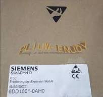 1PCS NEW Siemens Expansion Module 6DD1601-0AH0