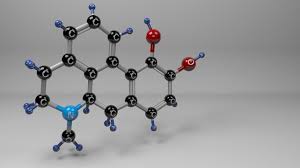 Image result for Apomorphine