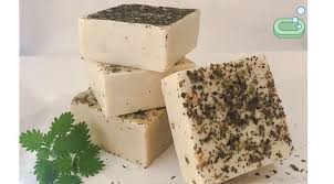 Isirgan Sabunu Isirgan Urtica Isirgangiller Urticaceae Familyasinin Urtica Cinsinden Mayis Agustos Aylari Arasinda Cicek Acan Bir Yi Sabunlar Otlar Tonik