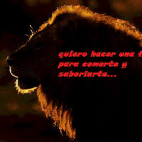 In sikhism all are equal regardless of race, status or gender. Lion Gif On Gifer By Zut