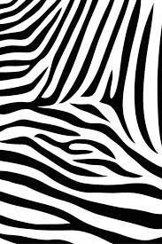 Pin By Jozalyn Munson On Patterns Prints Zebra Print Wallpaper Animal Print Wallpaper Zebra Wallpaper Backgrounds