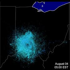 With tenor, maker of gif keyboard, add popular radar animated gifs to your conversations. A Primer For Using Weather Surveillance Radar To Study Bird Migration Birdcast