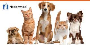 The major medical plan is more in line with typical coverages and costs with the nationwide reputation and. Nationwide Pet Insurance Apha