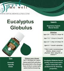 Spoilmewelloils Com Nbspthis Website Is For Sale Nbspspoilmewelloils Resources And Information Living Essentials Oils Eucalyptus Globulus Essential Oil Essential Oil Education