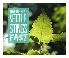 Rubbing alkaline and acid together cause each one to water down, this is called neutralization. How To Treat Nettle Stings Fast Mums Make Lists