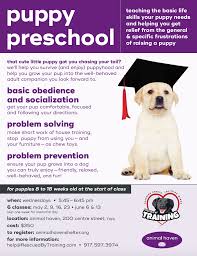 If you wait until your dog is older in his article entitled early puppy training, he says, all dogs can benefit from obedience training as early as seven weeks and when the puppy enters its new home. Puppy Preschool 6 Week Class Rescued By Training
